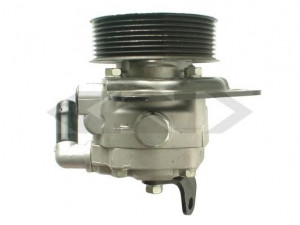 SPIDAN 54493 hidraulinis siurblys, vairo sistema
49110 45302, QVB 500640