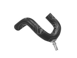 FARE SA 8938 radiatoriaus žarna 
 Aušinimo sistema -> Žarnelės/vamzdeliai/sujungimai -> Radiatoriaus žarnos
7700107829