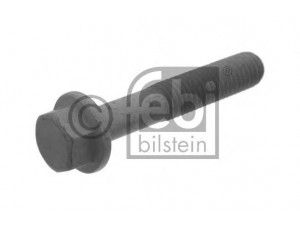FEBI BILSTEIN 33822 skriemulio varžtas
500375263, 5 0037 5263