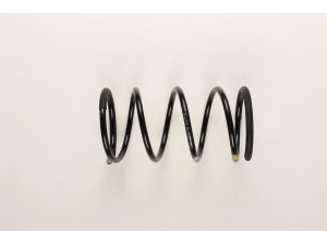 BILSTEIN 36-161690 spyruoklė 
 Pakaba -> Spyruoklės
55020-90J23