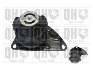 QUINTON HAZELL EM4476 variklio montavimas
6N0 199 262G