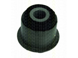 TRISCAN 8500 38809 valdymo svirties/išilginių svirčių įvorė 
 Ašies montavimas/vairavimo mechanizmas/ratai -> Valdymo svirtis/pasukamosios svirties sujungimas -> Montavimas/sutvirtinimas
96083570