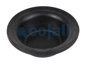 COJALI 6001101 membrana, spyruoklinis cilindras