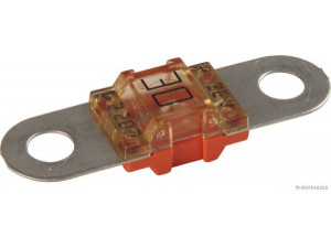 HERTH+BUSS ELPARTS 50295858 saugiklis
1148211, 2S6T14A094AA, N105 255 09