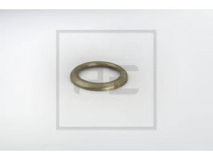 PE Automotive 101.029-00A tarpiklis, pasukamasis kakliukas 
 Ašies montavimas/vairavimo mechanizmas/ratai -> Pasukamojo kakliuko remonto rinkinys -> Pasukamojo kakliuko sandariklis
0 376 039, 376039
