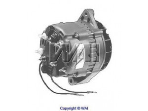 WAIglobal AL-65811 kintamosios srovės generatorius
805884, 805884P, 805884T, F805447T