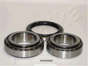 ASHIKA 44-19000 rato guolio komplektas 
 Ašies montavimas/vairavimo mechanizmas/ratai -> Rato stebulė/montavimas -> Rato guolis
8-94227-048-1