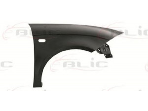 BLIC 6504-04-6612312Q sparnas 
 Kėbulas -> Transporto priemonės priekis -> Sparnas/montavimo dalys
5P0821022