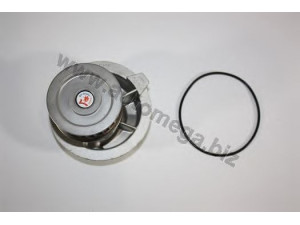 AUTOMEGA 1013340139 vandens siurblys 
 Aušinimo sistema -> Vandens siurblys/tarpiklis -> Vandens siurblys
1334139, 1334139, 1334139, 24409355