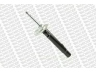 MONROE G16773 amortizatorius 
 Pakaba -> Amortizatorius
31311094561, 31311096849, 31316750785