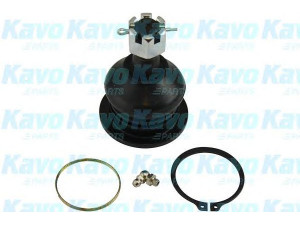 KAVO PARTS SBJ-6511 atramos/vairo trauklė 
 Ašies montavimas/vairavimo mechanizmas/ratai -> Sujungimai -> Atramos/vairo trauklė
40160G2500, 40160G2525, 40160G4010