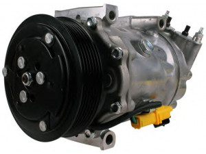 PowerMax 7010444 kompresorius, oro kondicionierius 
 Oro kondicionavimas -> Kompresorius/dalys
6453QL, 6453QN, 6453WP, 648734