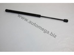 AUTOMEGA 30770008420256 dujinė spyruoklė, bagažinė 
 Priedai -> Bagažinė/pakrovimo skyrius
7700842256, 7700842256