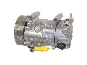 WEBASTO 82D0156120MA kompresorius, oro kondicionierius 
 Oro kondicionavimas -> Kompresorius/dalys
6453QJ, 6453QK, 9651910980, 9659875780