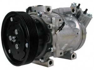 PowerMax 7010662 kompresorius, oro kondicionierius 
 Oro kondicionavimas -> Kompresorius/dalys
8200600135, 8200600135, 8200117767
