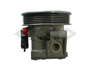 SPIDAN 54353 hidraulinis siurblys, vairo sistema 
 Vairavimas -> Vairo pavara/siurblys
2S413A696AA