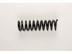 BILSTEIN 37-129491 spyruoklė 
 Pakaba -> Spyruoklės
202 321 02 04