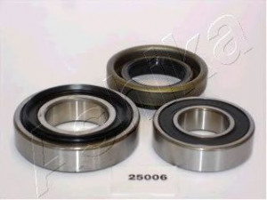 ASHIKA 44-25006 rato guolio komplektas 
 Ašies montavimas/vairavimo mechanizmas/ratai -> Rato stebulė/montavimas -> Rato guolis
MT191613