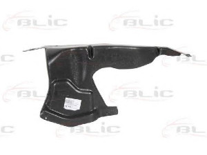 BLIC 6601-02-2027873P variklio dangtis 
 Variklis -> Variklio dangtis
0000001592228, 0000051780189, 1592228