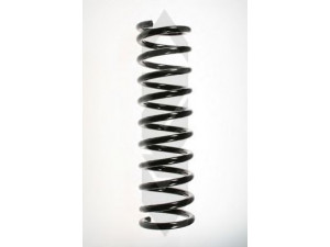 SPIDAN 48455 spyruoklė 
 Pakaba -> Spyruoklės
33 53 1 134 440