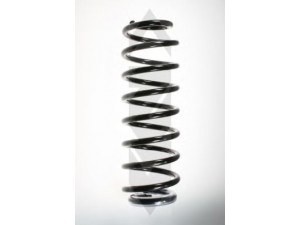 SPIDAN 56138 spyruoklė 
 Pakaba -> Spyruoklės