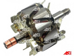 AS-PL AR6008 rotorius, kintamosios srovės generatorius