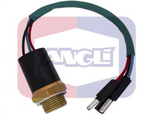 ANGLI 1653 temperatūros jungiklis, radiatoriaus ventiliatorius 
 Aušinimo sistema -> Siuntimo blokas, aušinimo skysčio temperatūra
1264 10, ZF-05934064, 5 934 064