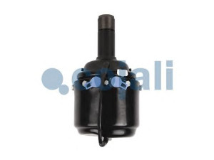 COJALI 2251305 spyruoklinis stabdžių cilindras
1518654, 0457 9058, 0475 9058, 0475 9085