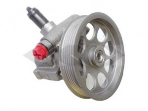 SPIDAN 53878 hidraulinis siurblys, vairo sistema 
 Vairavimas -> Vairo pavara/siurblys
4908281, 5061841