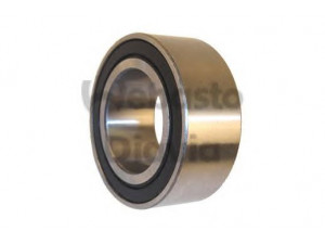 WEBASTO 82D042599MA guolis, kompresoriaus velenas