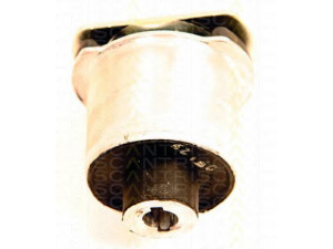 TRISCAN 8500 65834 stebulės laikiklio įvorė 
 Ašies montavimas/vairavimo mechanizmas/ratai -> Ašies atrama/ašies korpusas/ašies montavimas -> Pasukamojo veleno sujungimas
12786341