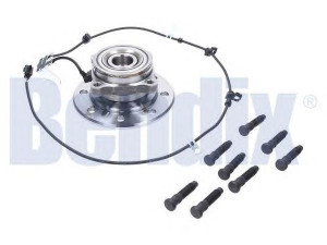BENDIX 051795B rato guolio komplektas
