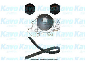 KAVO PARTS DKW-5503 vandens siurblio ir paskirstymo diržo komplektas 
 Diržinė pavara -> Paskirstymo diržas/komplektas -> Paskirstymo diržas/komplektas