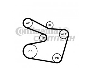 CONTITECH 6PK1538K2 V formos rumbuotas diržas, komplektas 
 Techninės priežiūros dalys -> Techninės priežiūros intervalai