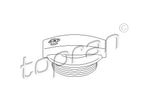 TOPRAN 109 345 dangtelis, radiatorius 
 Aušinimo sistema -> Radiatorius/alyvos aušintuvas -> Išsiplėtimo bakelis, variklio aušinimo skystis
8E0 121 321
