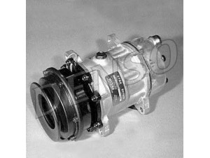 DENSO DCP13002 kompresorius, oro kondicionierius 
 Oro kondicionavimas -> Kompresorius/dalys
98453640