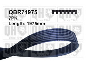 QUINTON HAZELL QBR71975 V formos rumbuoti diržai 
 Techninės priežiūros dalys -> Techninės priežiūros intervalai
60561247, 60652358, 60618584