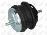 FORTUNE LINE FZ90766 variklio montavimas
1 097 153, 2211 1 097 153, 2211 6 750 039