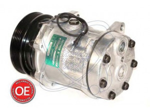 ELECTRO AUTO 20A8005 kompresorius, oro kondicionierius 
 Oro kondicionavimas -> Kompresorius/dalys
7700300462, 7700300462