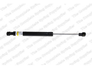 ROC GS0983 dujinė spyruoklė, bagažinė 
 Priedai -> Bagažinė/pakrovimo skyrius
51247016186
