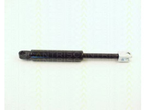 TRISCAN 8710 2301 dujinė spyruoklė, bagažinė 
 Priedai -> Bagažinė/pakrovimo skyrius
123 980 00 64, 123 980 01 64, A 123 980 00 64