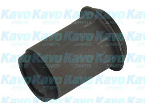 KAVO PARTS SCR-4085 valdymo svirties/išilginių svirčių įvorė 
 Ašies montavimas/vairavimo mechanizmas/ratai -> Valdymo svirtis/pasukamosios svirties sujungimas -> Montavimas/sutvirtinimas
544494E000