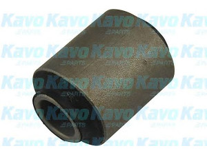 KAVO PARTS SCR-6510 valdymo svirties/išilginių svirčių įvorė 
 Ašies montavimas/vairavimo mechanizmas/ratai -> Valdymo svirtis/pasukamosios svirties sujungimas -> Montavimas/sutvirtinimas
54501AV60ABUSH