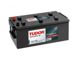 TUDOR TG2153 starterio akumuliatorius; starterio akumuliatorius 
 Elektros įranga -> Akumuliatorius
2994411, 2994704, ZE.97020.2255