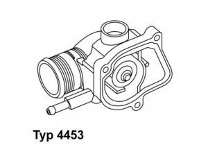 WAHLER 4453.87D termostatas, aušinimo skystis