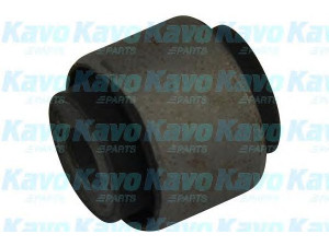 KAVO PARTS SCR-2035 valdymo svirties/išilginių svirčių įvorė 
 Ašies montavimas/vairavimo mechanizmas/ratai -> Valdymo svirtis/pasukamosios svirties sujungimas -> Montavimas/sutvirtinimas
52343SH3004, 52343SK7003, 52343SK7004
