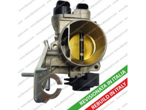 DIPASPORT FLAI007R droselio korpusas
71718989, 77363331