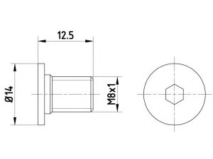 HELLA PAGID 8DZ 355 209-021 varžtas, stabdžių diskas 
 Stabdžių sistema -> Diskinis stabdys -> Stabdžių dalys/priedai
2204210171, WHT000654, 2204210171