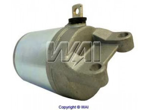 WAIglobal 19189N starteris
420685100