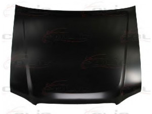 BLIC 6803-00-1676280P gaubtas 
 Kėbulas -> Transporto priemonės galas -> Gaubtas/dalys/garso izoliacinė medžiaga
F51002W6CM65100